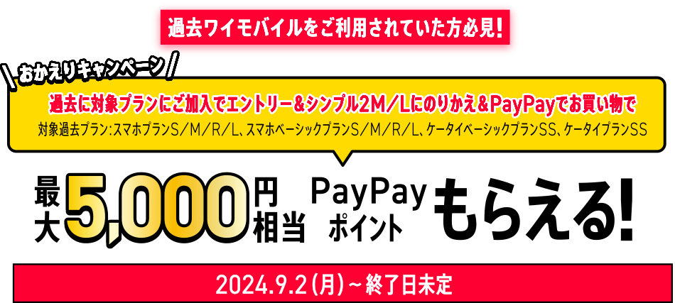 PayPayポイントもらえる！