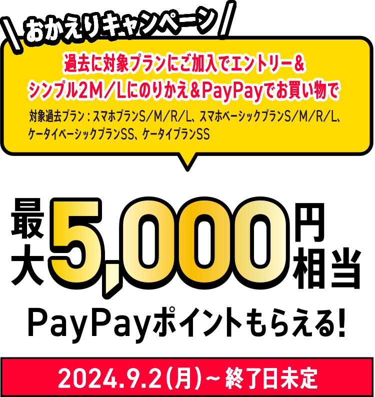 PayPayポイントもらえる！