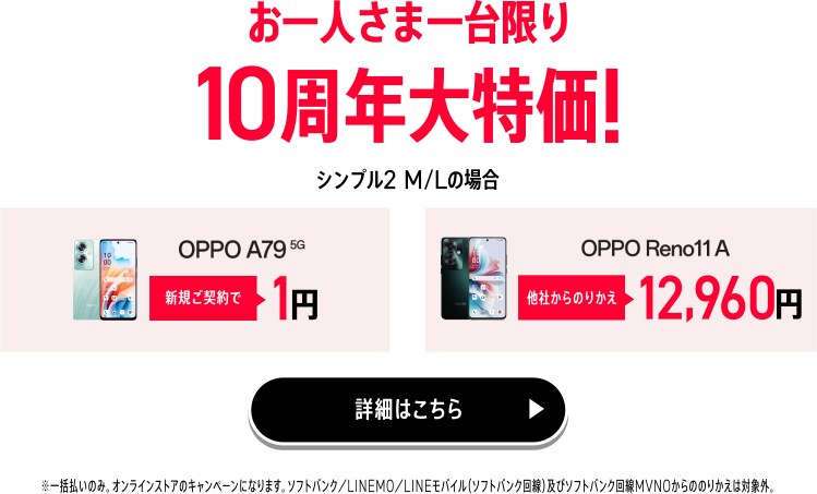 お一人さま一台限り 10周年大特価！