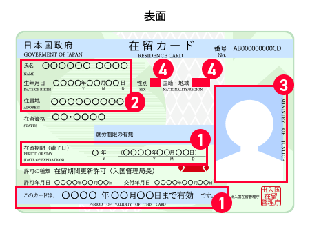 在留カード・外国パスポート 表面の画像