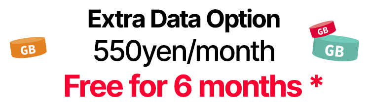 Extra Data Option