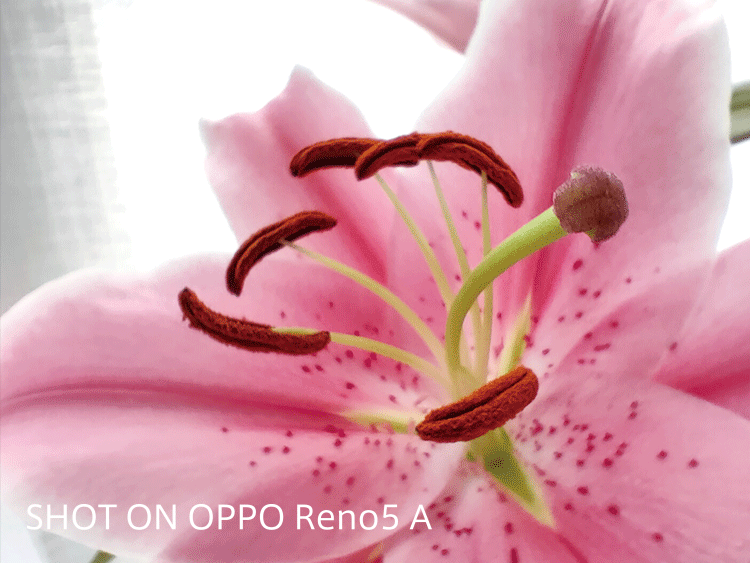【新品・未開封】OPPO Reno5 A★アイスブルー★Y!mobile