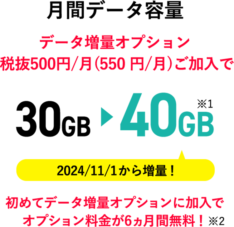 月間データ容量