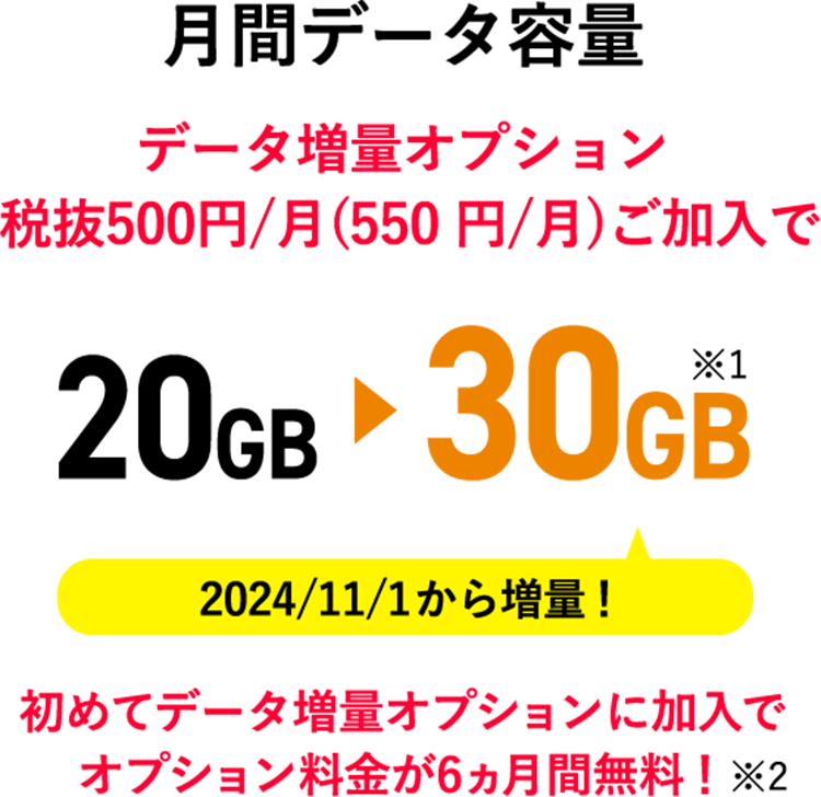 月間データ容量