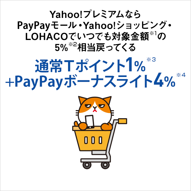 Yahoo プレミアム For Y Mobile ヤフー連携サービス サービス Y