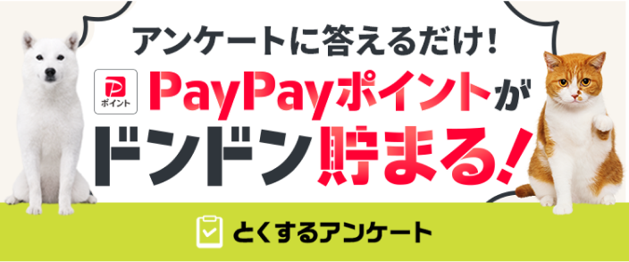 アンケートに答えるだけ！PayPayポイントがドンドン貯まる！