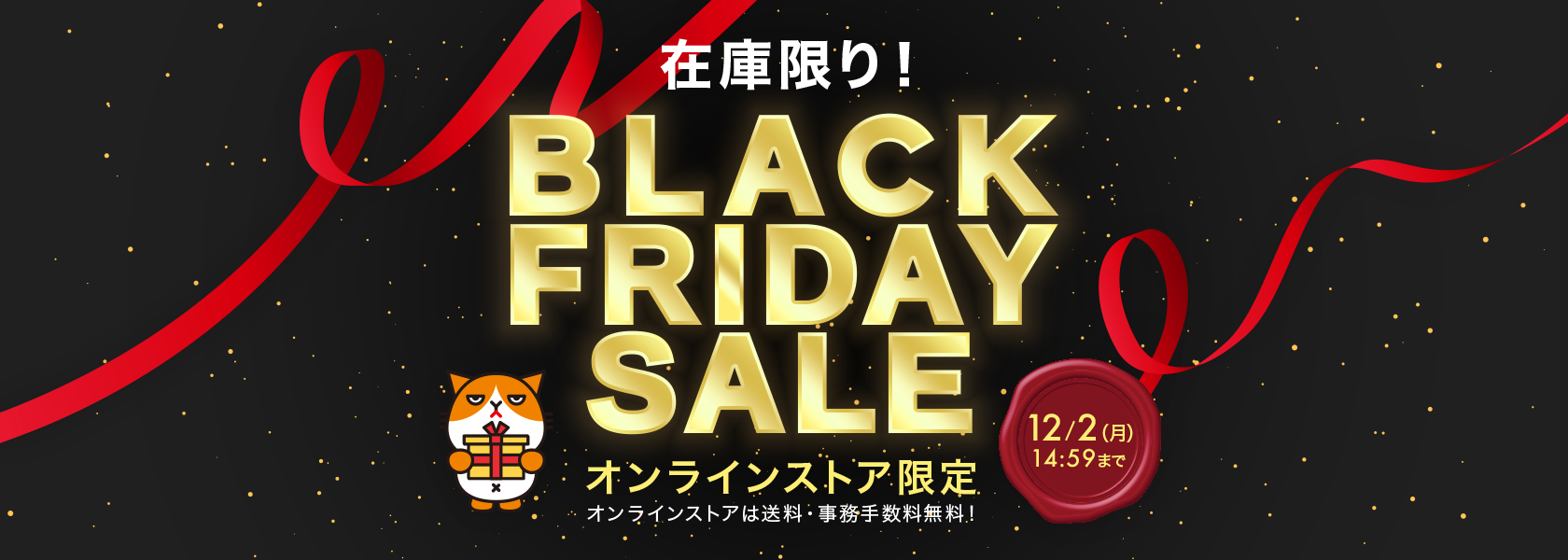 BLACK FRIDAY SALE